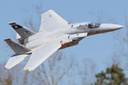 Freewing F-15C Eagle Super Scale 90mm EDF Jet - ARF PLUS