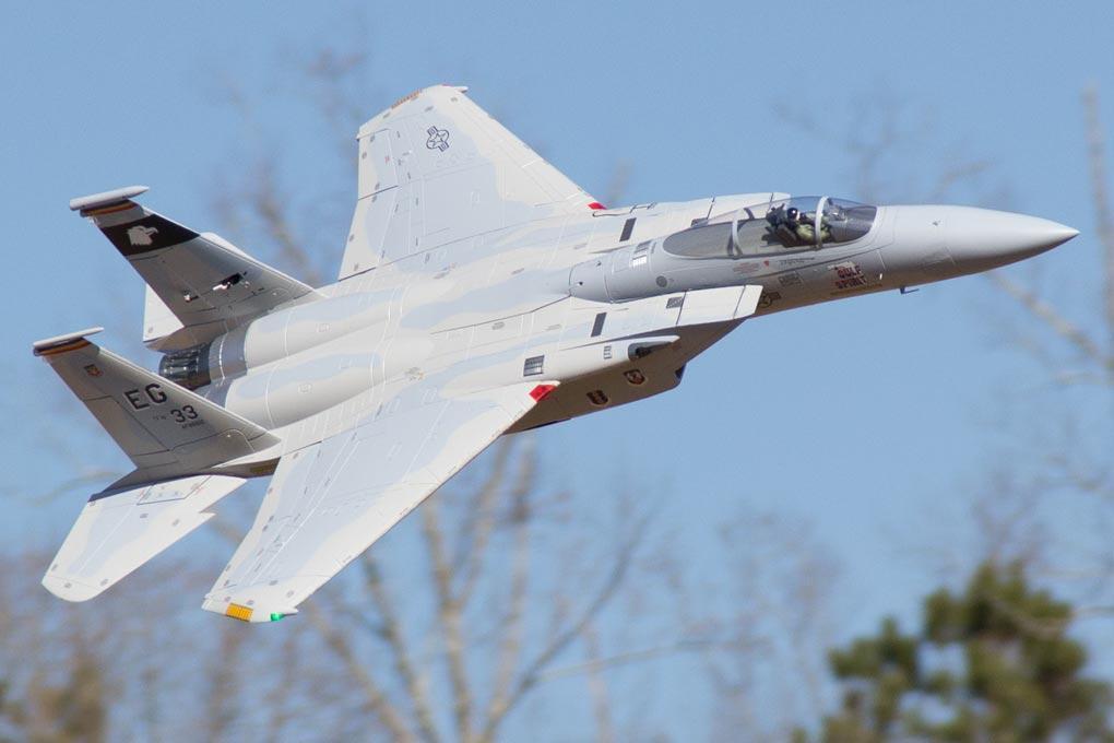 Freewing F-15C Eagle Super Scale High Performance 90mm EDF Jet - PNP