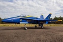 Freewing F/A-18C Hornet Blue Angels 90mm EDF Jet - ARF PLUS
