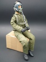 Scale-Pilot Modern Jet grün 1:4,5/1:4
