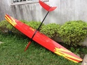 RCRCM 300 CFK Rot/Schwarz F3B/F3F 2.9m mit Schutztasche, RC-Modellflugzeug