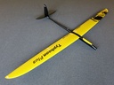 RCRCM Typhoon Plus El. F3B Spw.2980mm GFK+ Gelb/Schwarz mit Schutztaschen