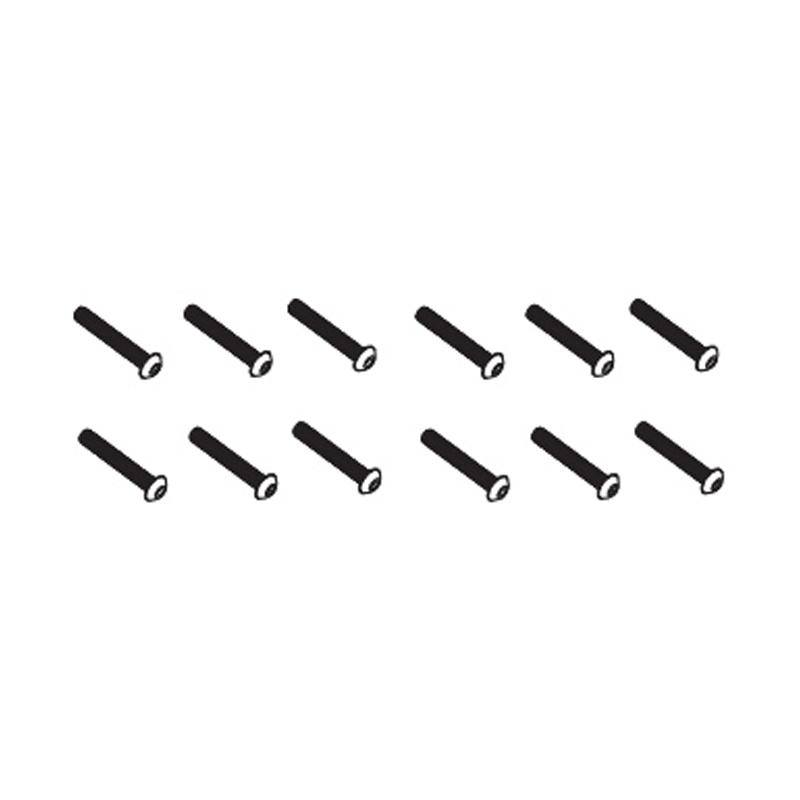 Schrauben 4x16mm (12 Stück) - BEAST BX / TX