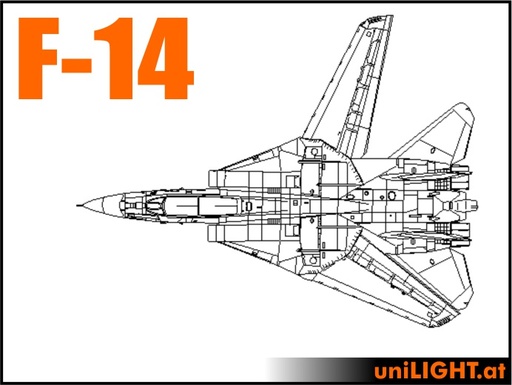 F-14 Tomcat (1:7, 2.8m, ENTRY)