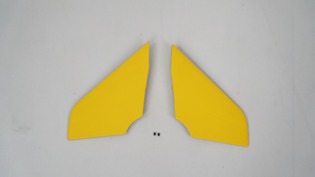 FMS Rafale Jet EDF 80 - Canard