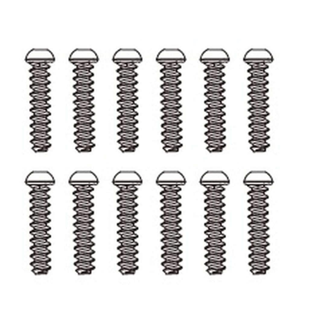 Schraube 2x12 mm (12 Stück)