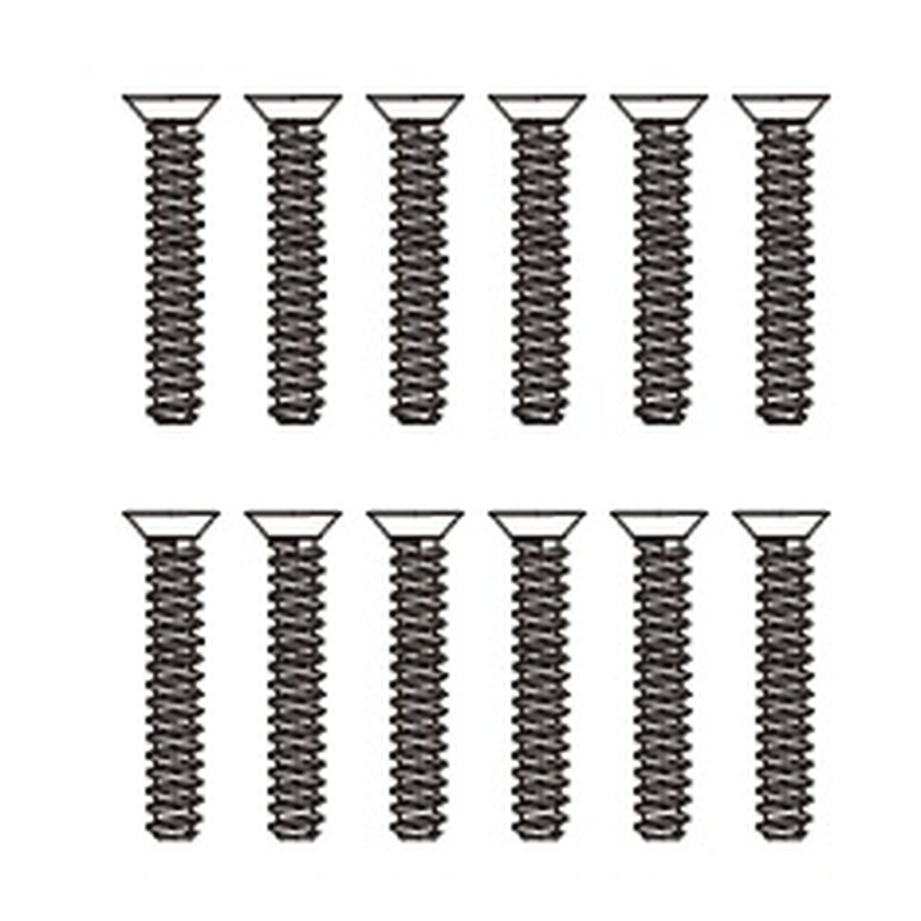 Schrauben 2,6x12,5 mm (12 Stück)