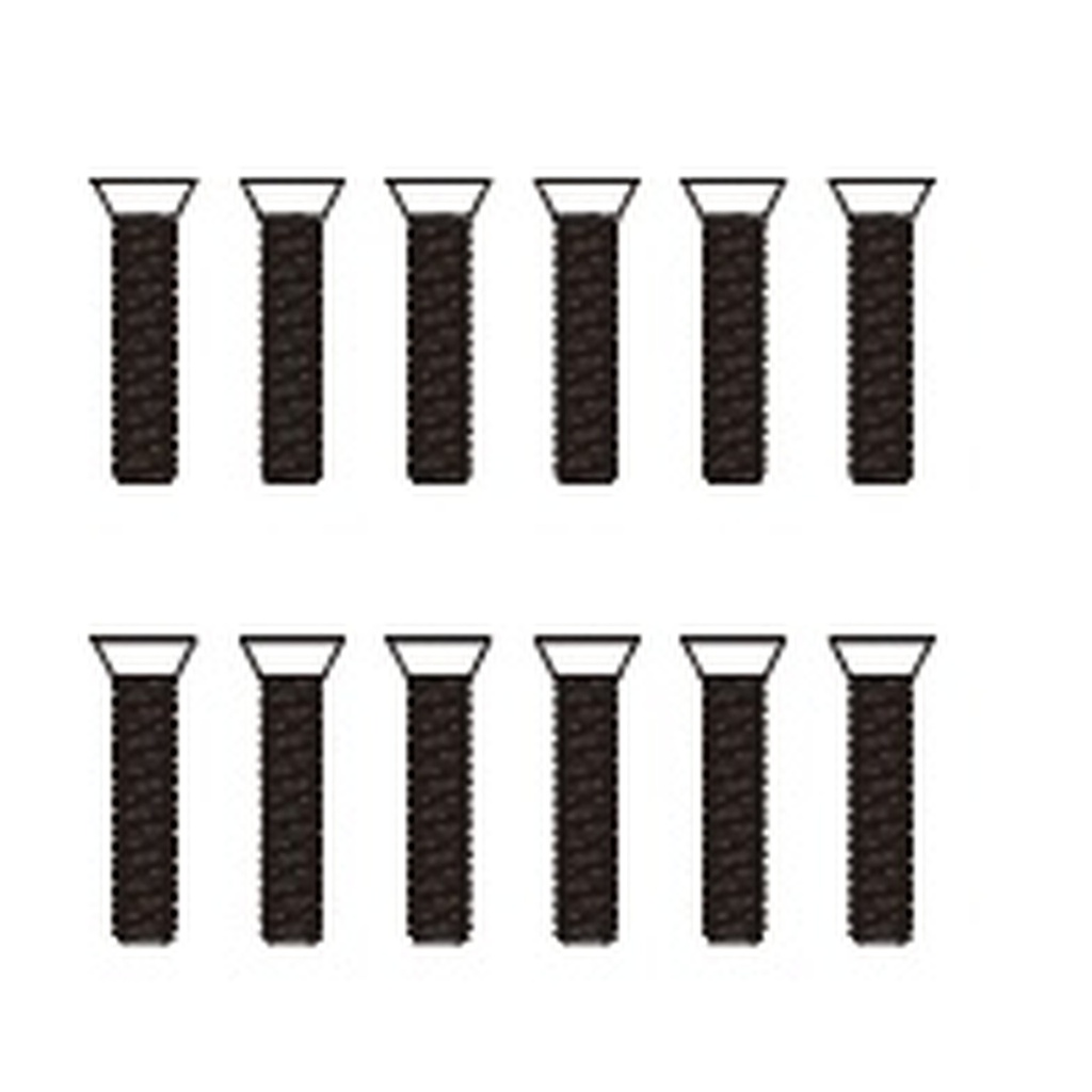 Schrauben 2,5x8 mm (12 Stück)