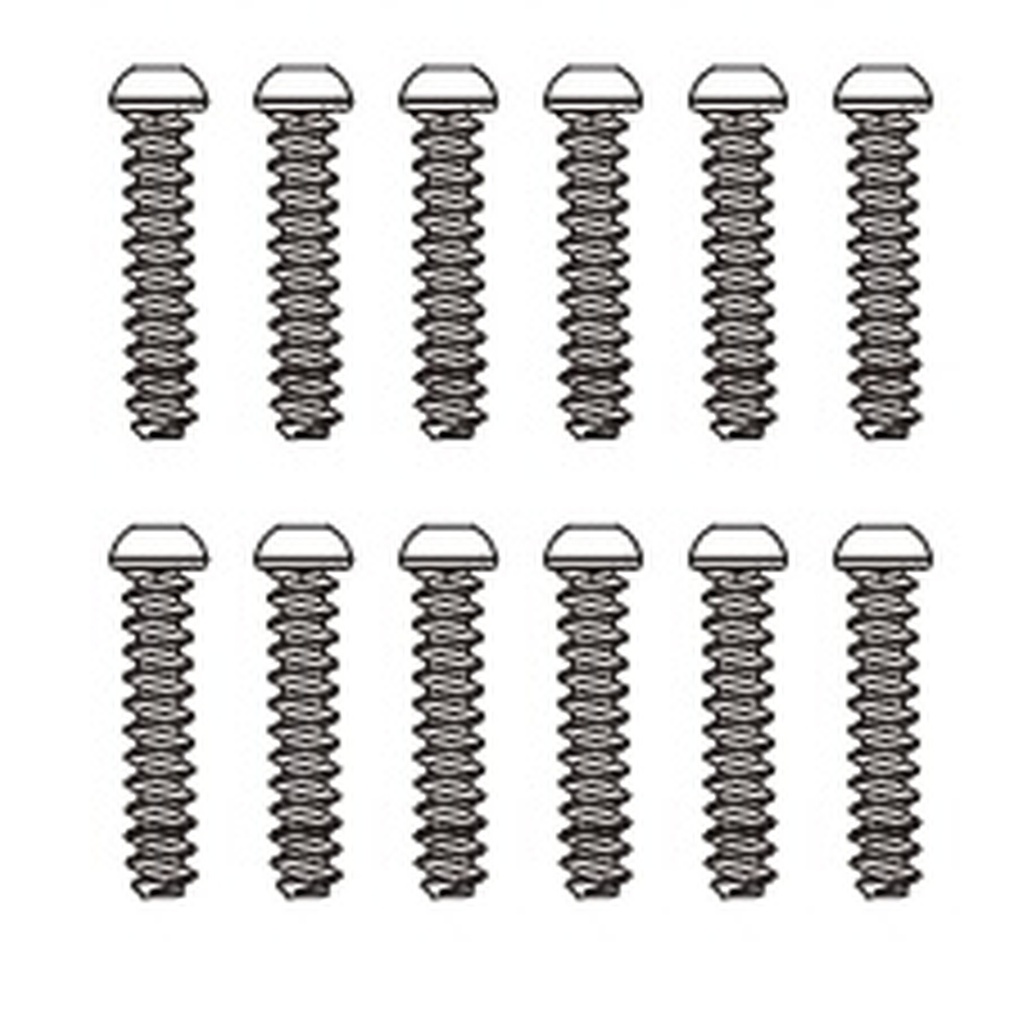 Schrauben 2,5x12 mm (12 Stück)