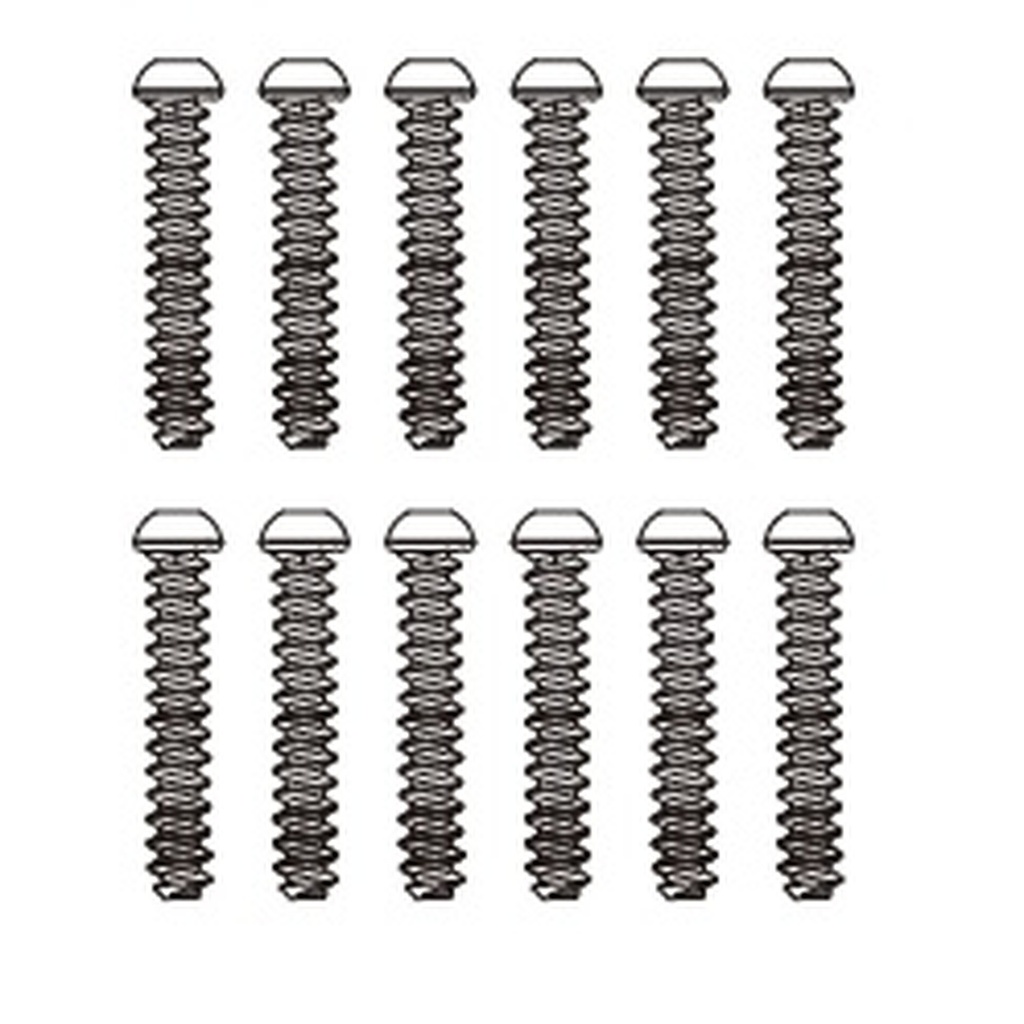 Schrauben 2,6x15 mm (12 Stück)