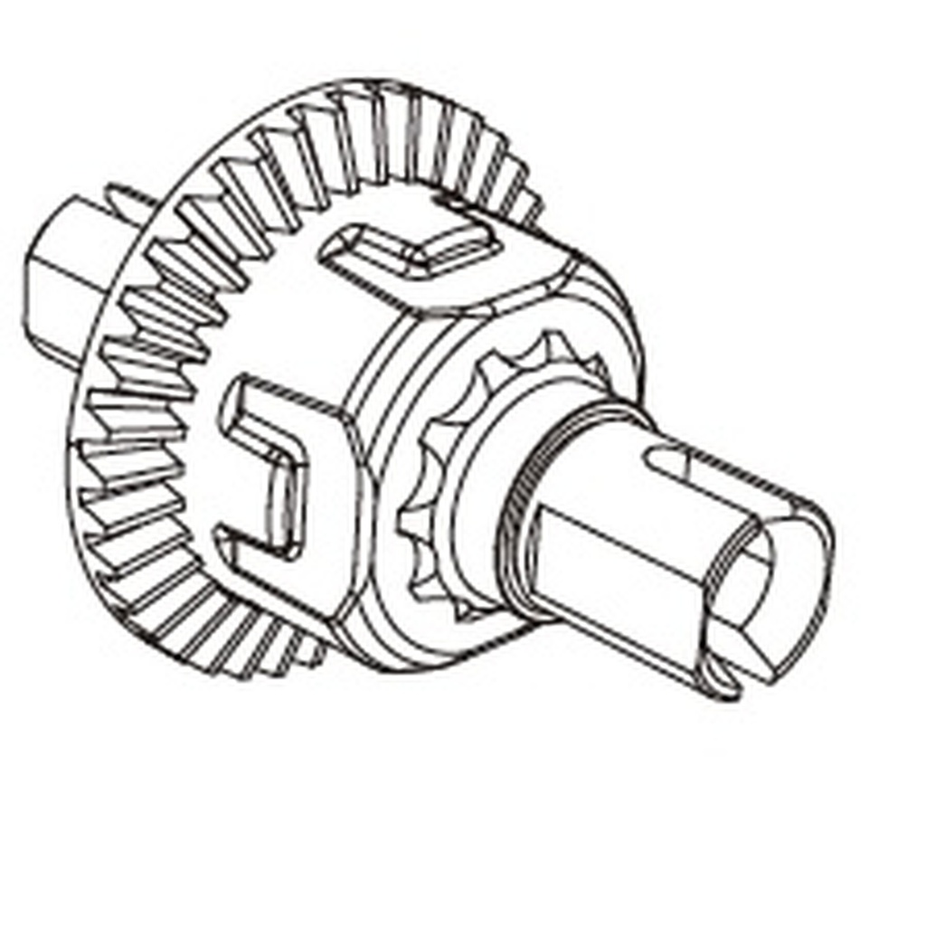 Vorder-/Hinterdifferential