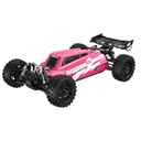 UD1204 GLEAM 1/12 4WD Brushless Buggy Pink