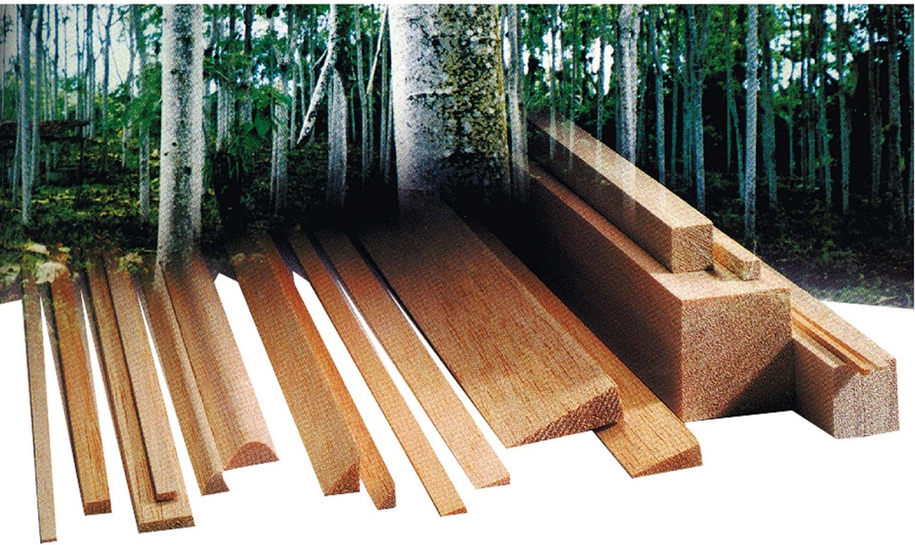 AIGNER BALSA BALSALEISTE 2/3MM/1M
