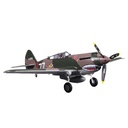 FMS P-40B Curtiss Warhawk Flying Tiger PNP - 98 cm -
