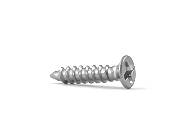 Edelstahl Senkkopf Schraube 2x10 (10 Stück)
