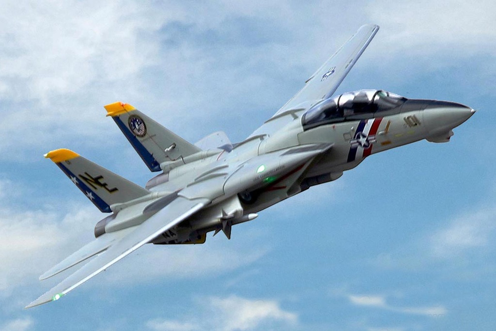 Freewing F-14 Tomcat Twin 80mm EDF Jet - PNP