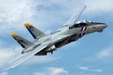 Freewing F-14 Tomcat Twin 80mm EDF Jet - PNP