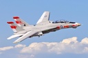 Freewing F-14 Tomcat Twin V2 64mm EDF Jet - ARF PLUS