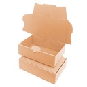 Maxibriefkarton 160x110x50 mm - MB 1 braun