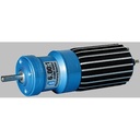 Model Motors Brushless Motor 77 Gramm Powerzwerg mit Getriebe 6:1