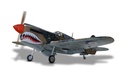 Phoenix P40 Warhawk GP/EP 35-55CC SCALE 18% ARF - 204 cm