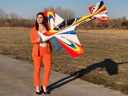 Sukhoi 29S 50E V3 Rot/Weiss/Gelb