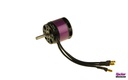 A30-18 M V2 6-Pole kv2900