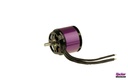 A40-10S V4 8-Pole kv1600