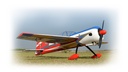 Phoenix YAK 54 rot GP 120CC ARF - 250 cm