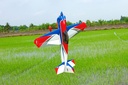 Pilot RC Slick 67" rot/blau/carbon 03