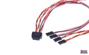 EWC10-S Rumpfkabel, 100 cm