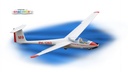 Phoenix ASK-21 3.2m - E-Version Segler ausbaubar zum Elektrosegler