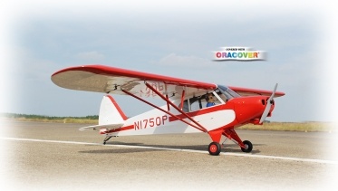Phoenix Piper Super Cub PA-18 - 273 cm