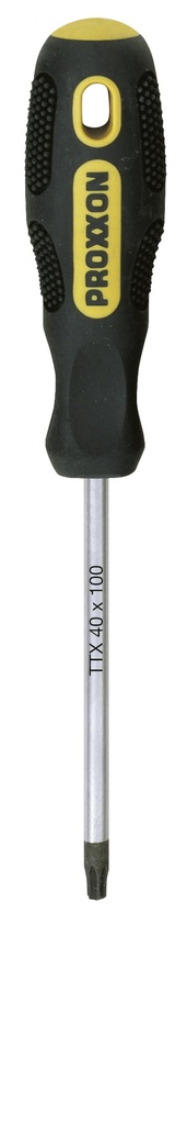 Flex-Dot-Schraubendreher TTX 25 x 100