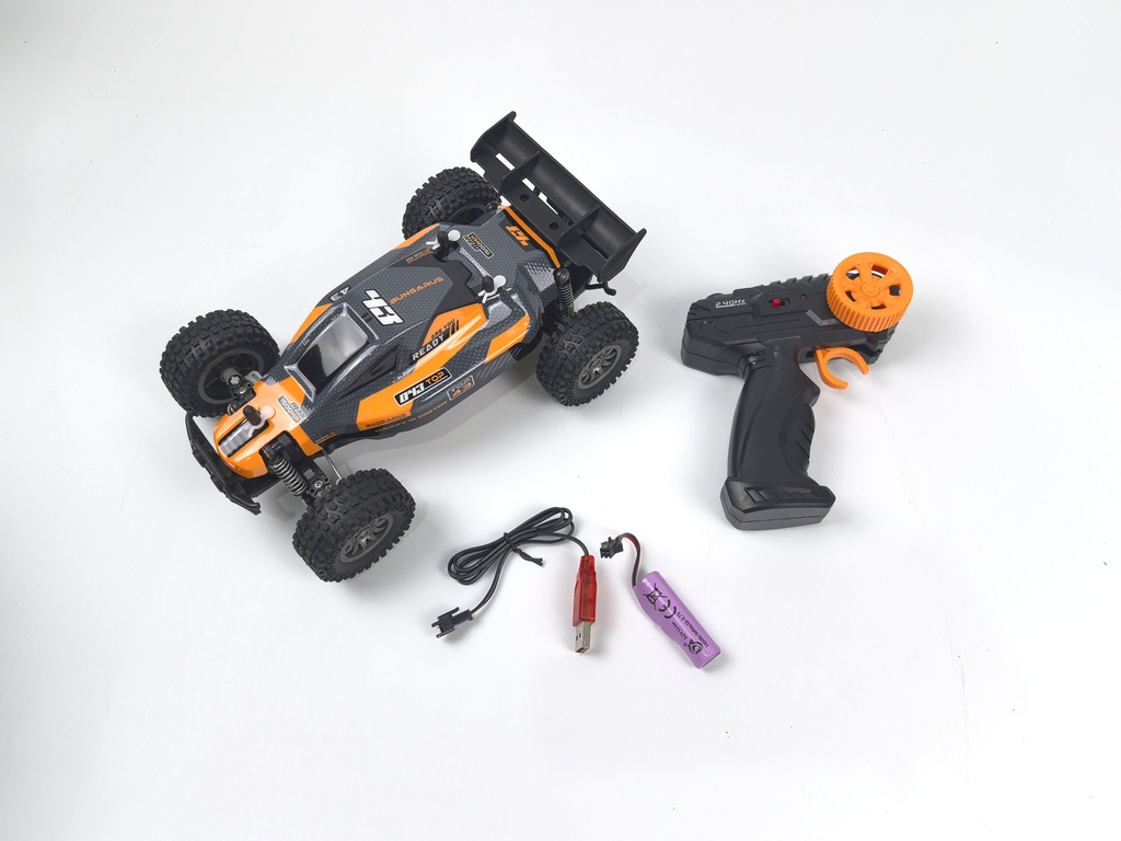 Rookie Fighter Buggy - RTR