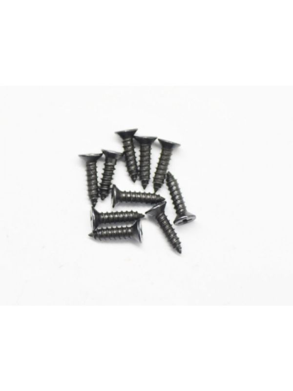 Screw philipshead countersunk widethread M2.5x10 (10)