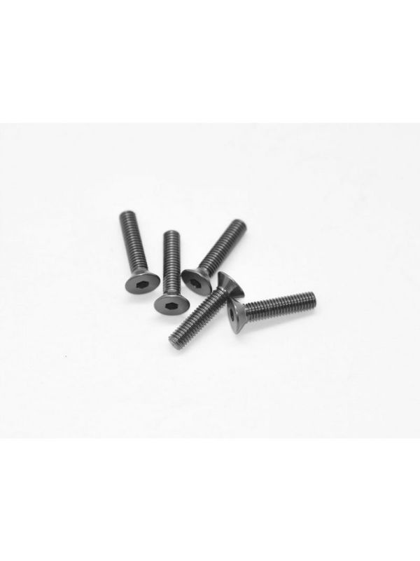 Alu Screw allen countersunk M3x14 Gray (7075) (5)