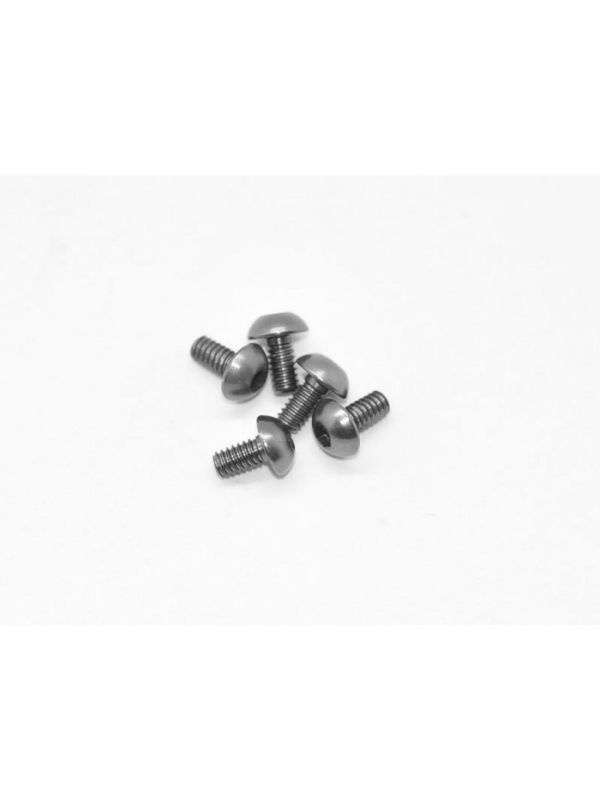 Alu Screw allen roundhead M2x4 Gray (7075) (5)