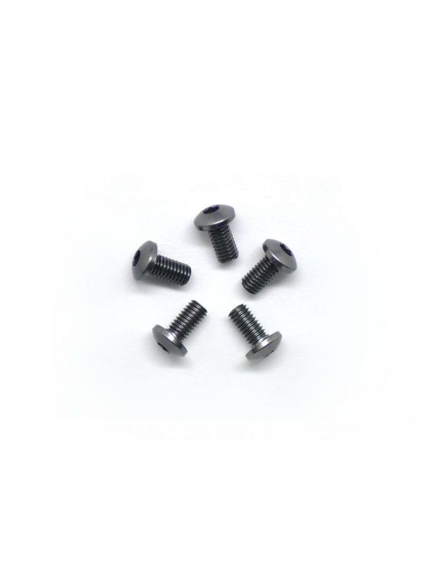 Alu Screw allen roundhead M3x6 Gray (7075) (5)