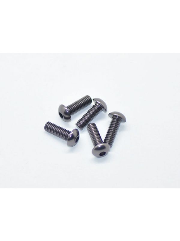 Alu Screw allen roundhead M4x12 Gray (7075) (5)