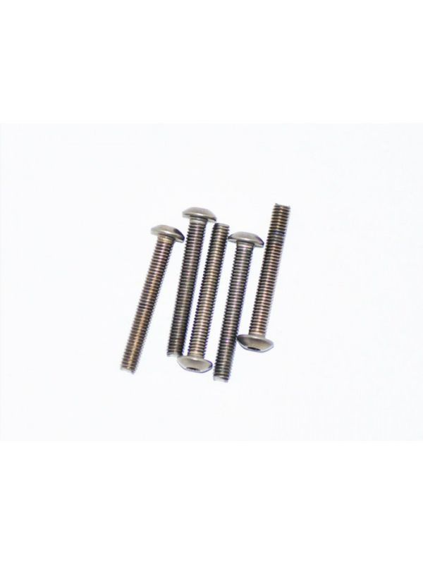 Titanium Screw allen round head M3x22 (5)