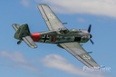 FW-190 110cm