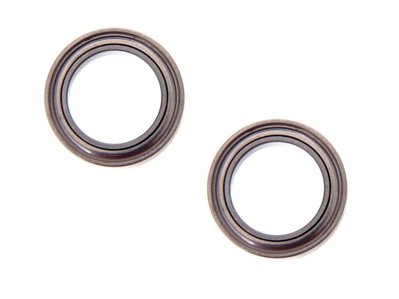 Bearings (10x15x4) 2pcs.
