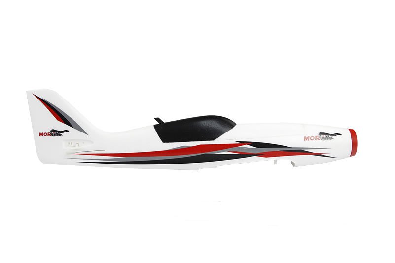 Freewing Moray rot Rumpf
