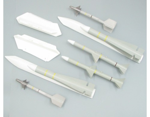 Freewing F-14 80mm Raketen und Pylone