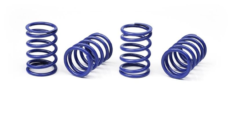 Federn-Satz Ø1,6mm, 22,5LB, weich-medium (Blau)