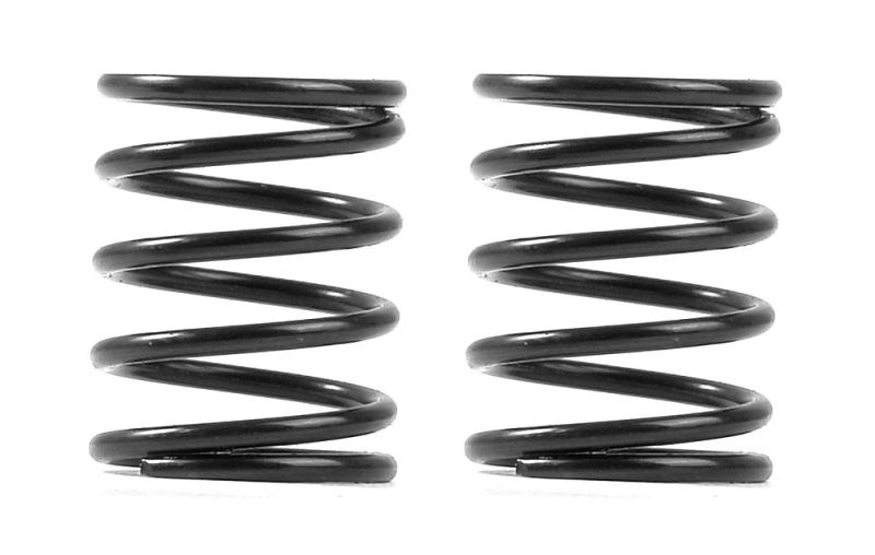 3S federn Set C=4,5 (2)