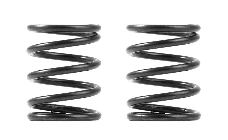 3S Federn Set C=8,0 (2)