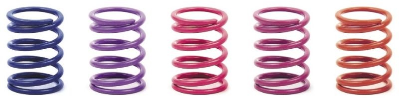 Federn-Satz Ø1,8mm, 35,5LB (Purple), vorne